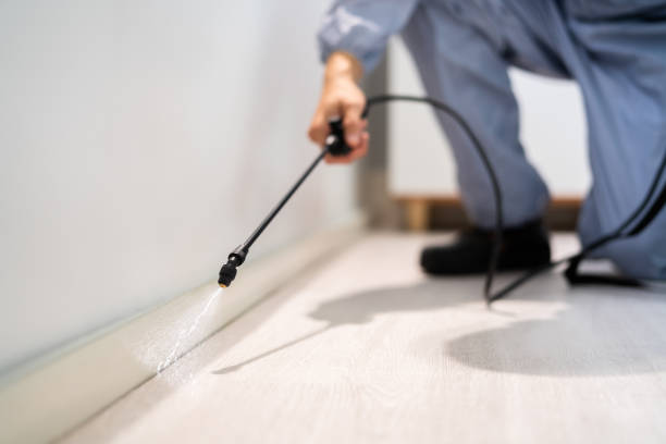 Licensed Pest Control service in Santa Fe, NM - Show Me Pest Control