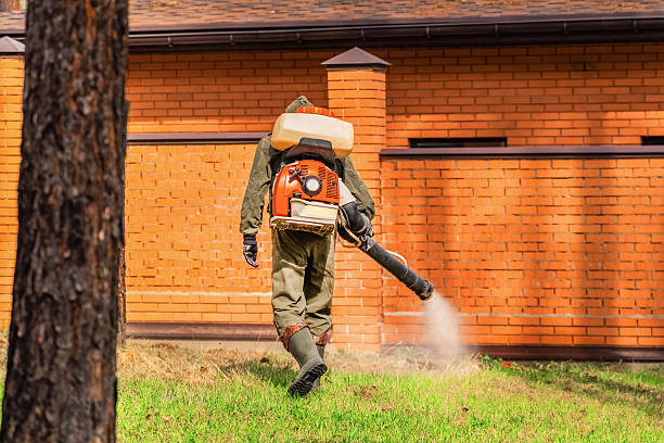 Bed Bug Clearance Verification and Documentation in Santa Fe